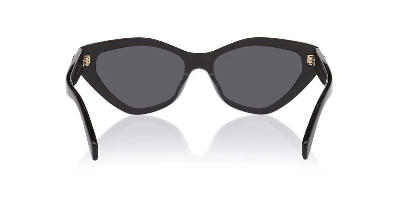 Celine Triomphe CL40323U