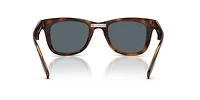Wayfarer Folding Classic
