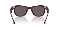 Original Wayfarer Classic