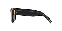 DG4338F