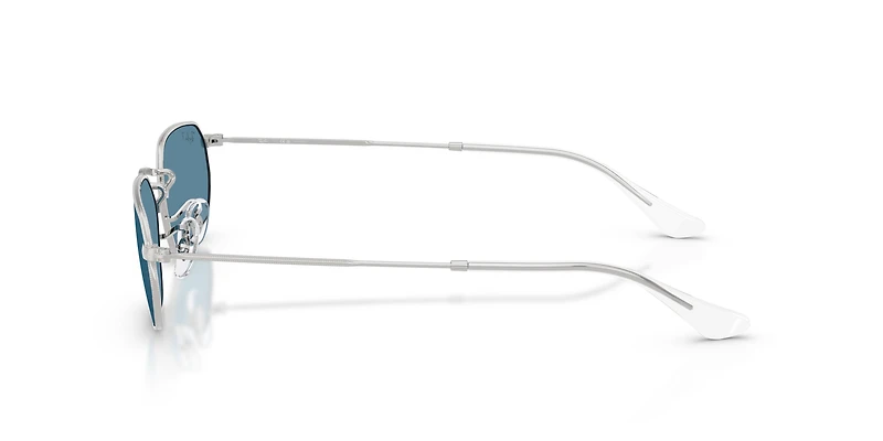RB3947 Polarized+ Lenses