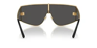 DG2305