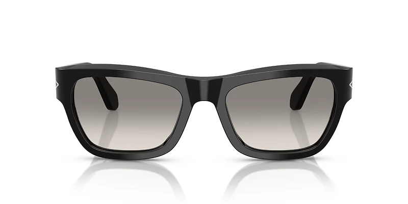 PO0091S