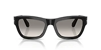 PO0091S