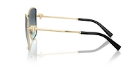 TF3102B