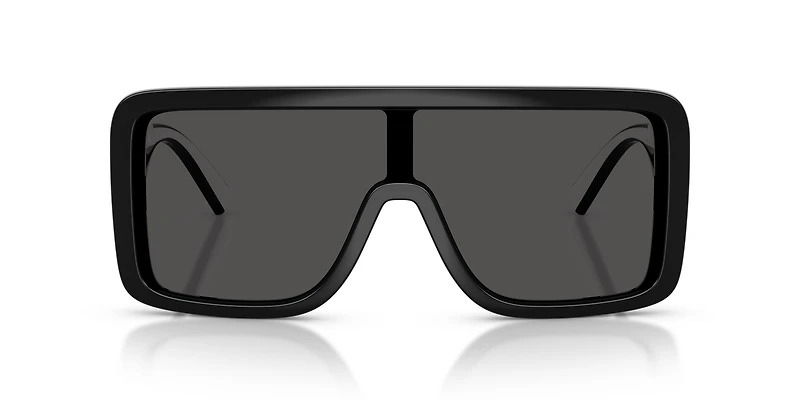 DG6204