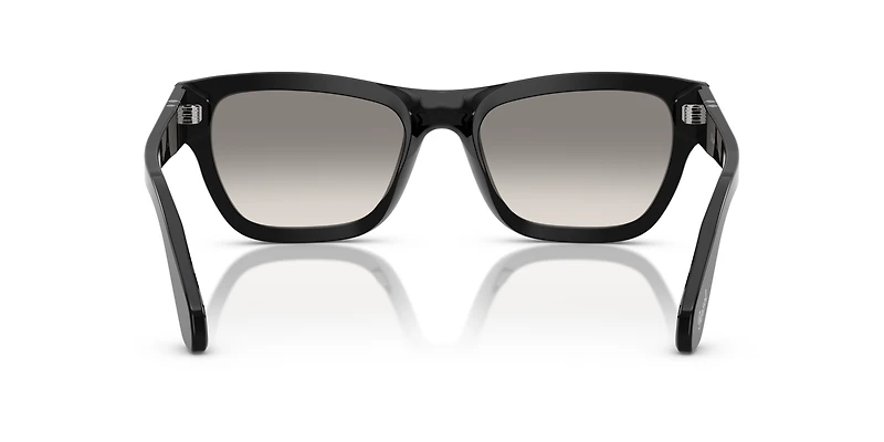 PO0091S
