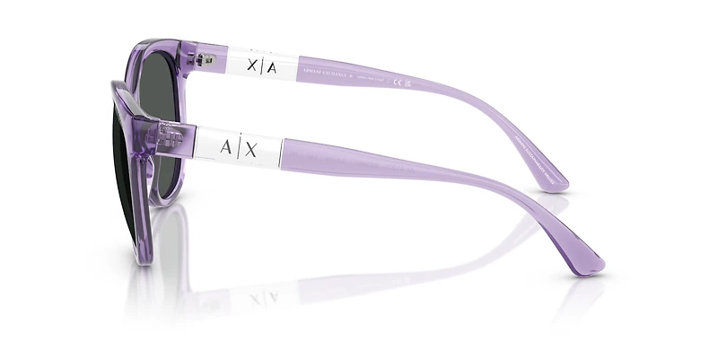 AX4120S