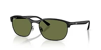 RB4469 Polarized Lenses