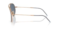 Aviator Reverse