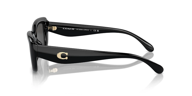 CR610