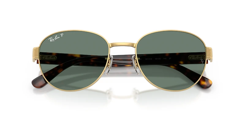 RB3766 Polarized+ Lenses