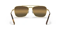 New Caravan Polarized+ Lenses