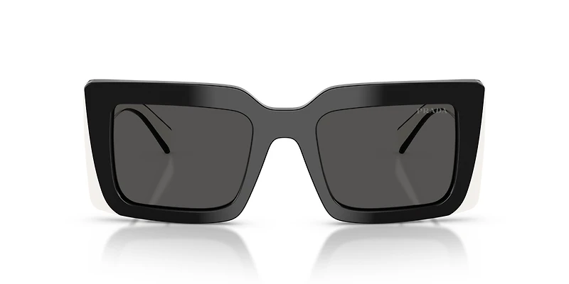 PR D01S