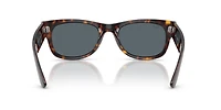 Mega Wayfarer II