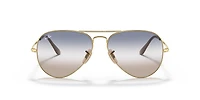 RB3689 Bi-Gradient