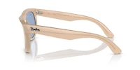 Wayfarer Reverse