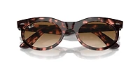 Wayfarer Oval