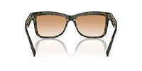 BC4009S