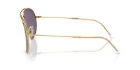 Aviator Reverse