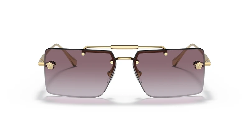 VE2245