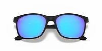 RB4330 Polarized+ Lenses
