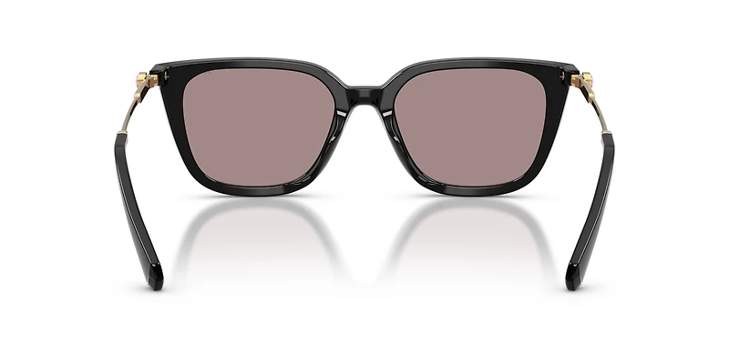 SK6054D