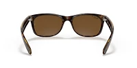 New Wayfarer Classic