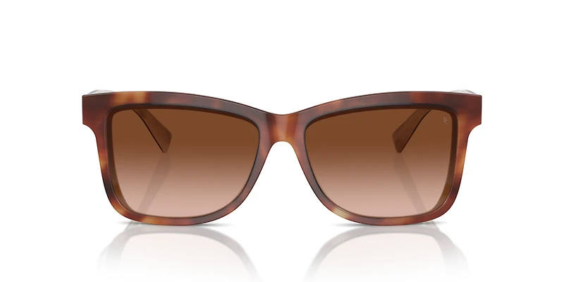 BC4009S