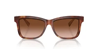 BC4009S