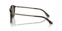 AR8196