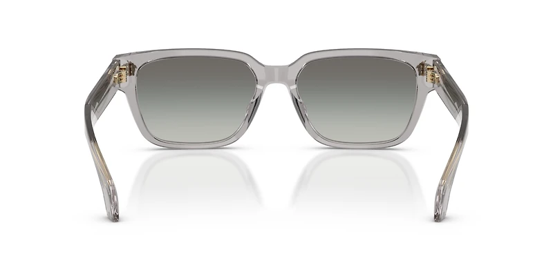 VE4513D