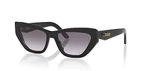 CDIOR B6I