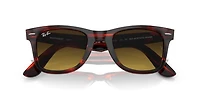 Original Wayfarer Bio-Based