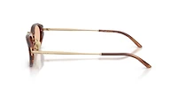AR8242
