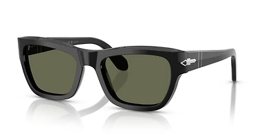 PO0091S