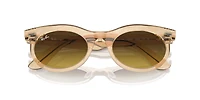 Wayfarer Oval Change