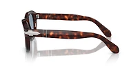 PO0060S