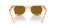 Original Wayfarer Change