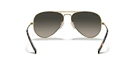 Aviator Havana Collection