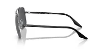 RB3699 Polarized+ Lenses