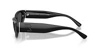 RL8231U