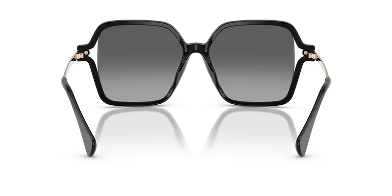 RA5319U