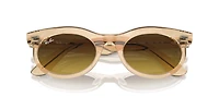Wayfarer Oval Change
