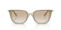 SK6054D