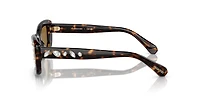 SK6008