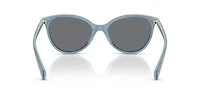 RA5339U