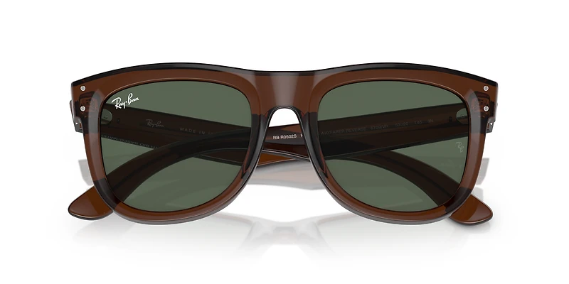 Wayfarer Reverse