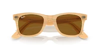 Original Wayfarer Change