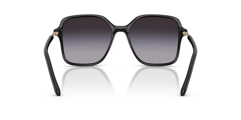 AX4163S